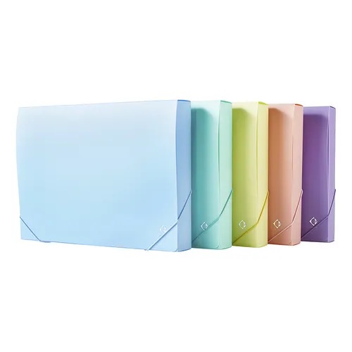 Caja Archivo Lama 2cm Pvc Pastel